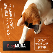 ちまきを一人前の三毛猫にしてください！
